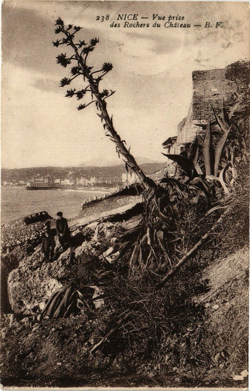 Carte postale ancienne Nice - Vue prise des Rochers du Chateau à Nice