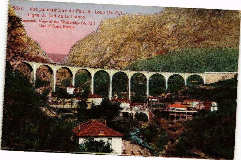 Carte postale ancienne Vue panoramique du pont du loup