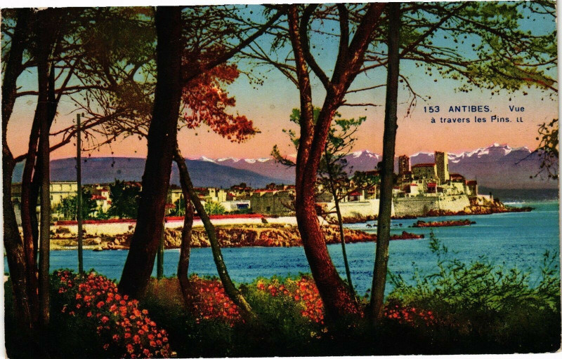 Carte postale ancienne Antibes - Vue a travers les pins à Antibes