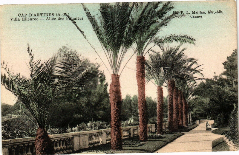 Carte postale ancienne Antibes - Villa eilenroc - Allee Des Palmiers à Antibes