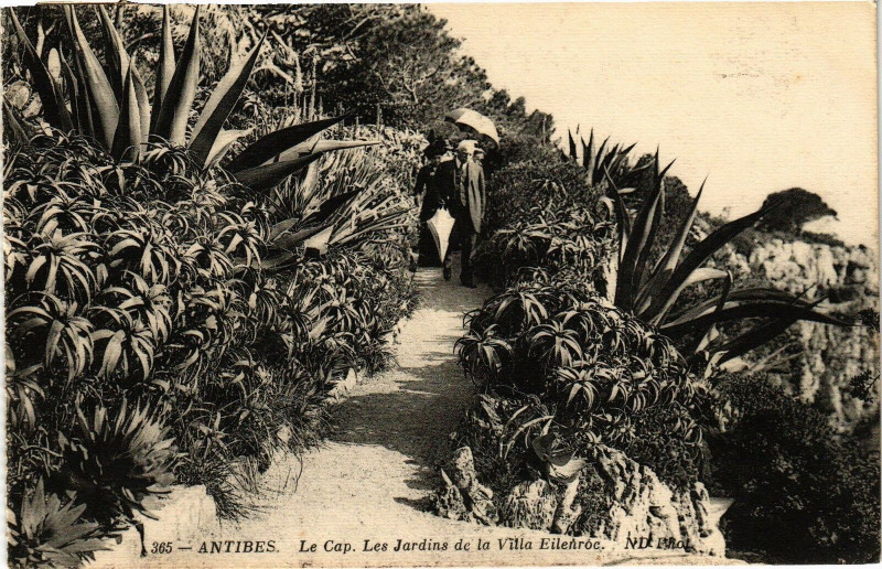 Carte postale ancienne Antibes - Le cap les jardins à Antibes