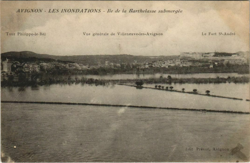 Carte postale ancienne Avignon Les Inondations - Ile de la Barthelasse Submergee à Avignon