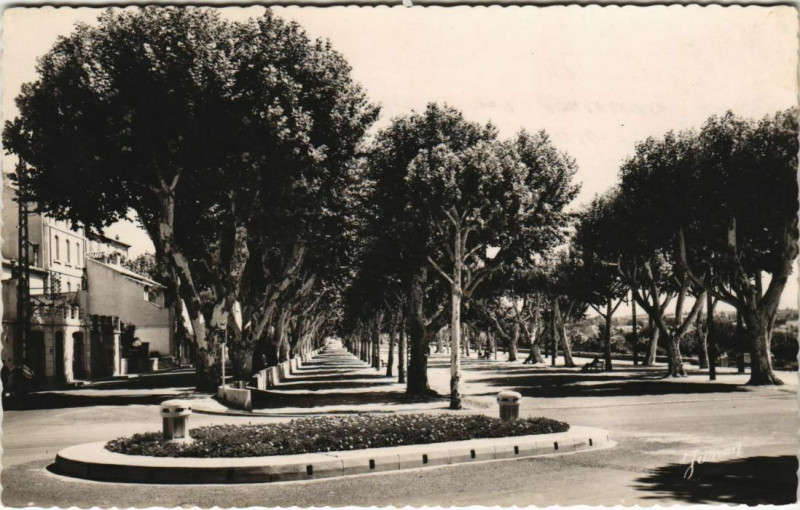 Carte postale ancienne Carpentras Les Allees Jean-Jaures à Carpentras
