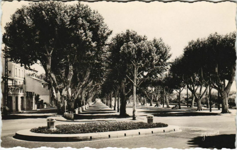 Carte postale ancienne Carpentras Les Allees Jean-Jaures à Carpentras