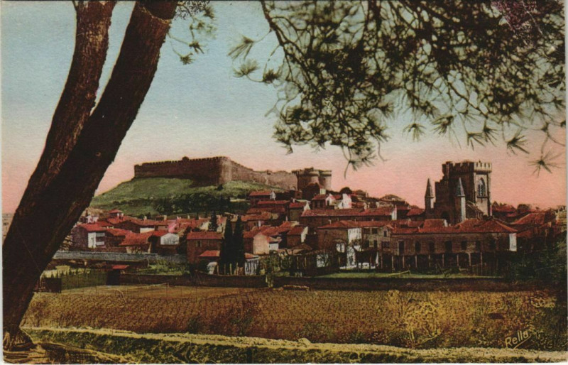 Carte postale ancienne Villeneuve-Les-Avignon Le Fort Saint-Andre à Avignon