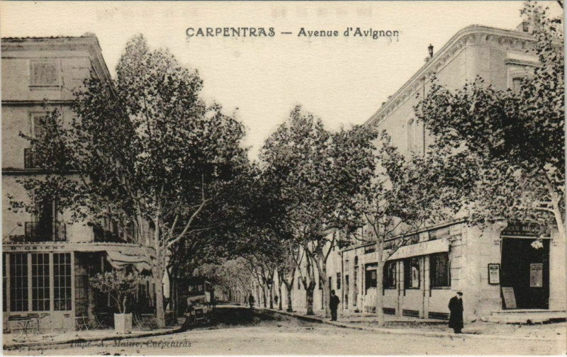Carte postale ancienne Carpentras Avenue d'Avignon à Carpentras