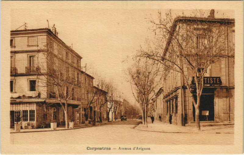 Carte postale ancienne Carpentras Avenue d'Avignon à Carpentras