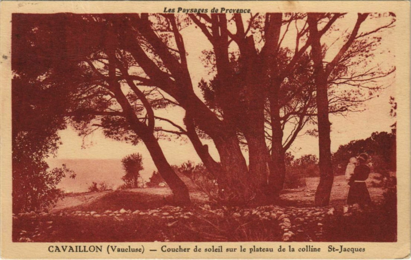 Carte postale ancienne Cavaillon Plateau de la Colline Saint-Jacques à Cavaillon