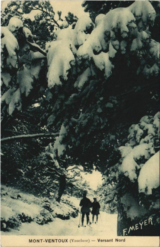Carte postale ancienne Mont-Ventoux - Versant Nord