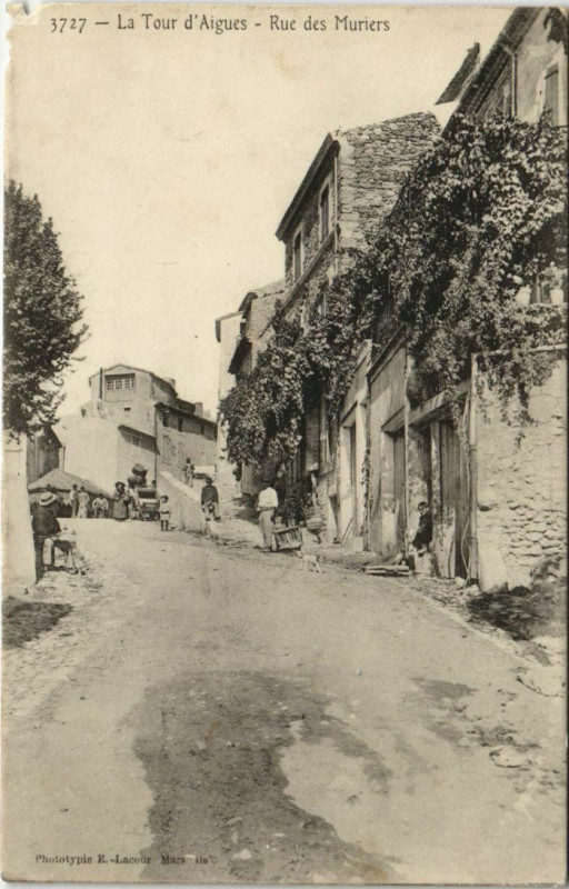 Carte postale ancienne La Tour-D'Aigues Rue des Muriers à La Tour-d'Aigues