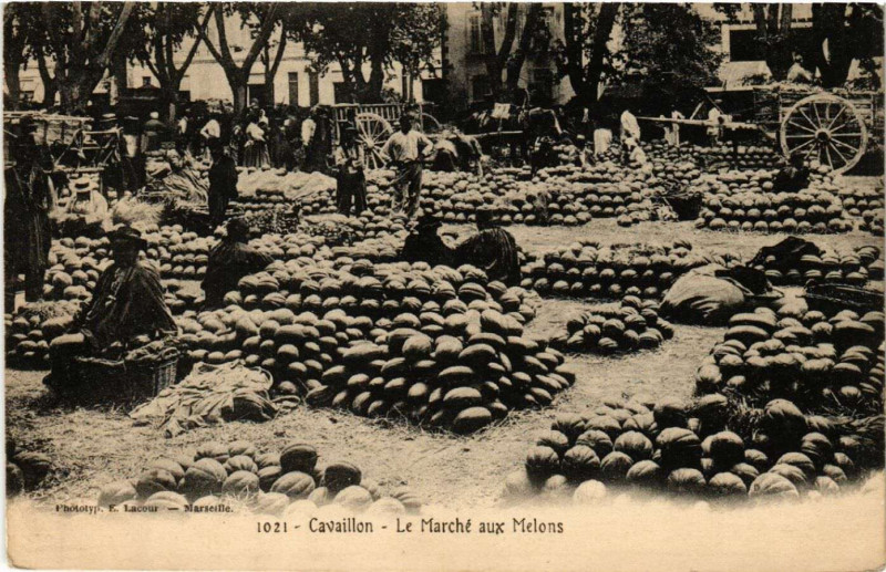 Carte postale ancienne Cavaillon - Le Marché aux Melons à Cavaillon