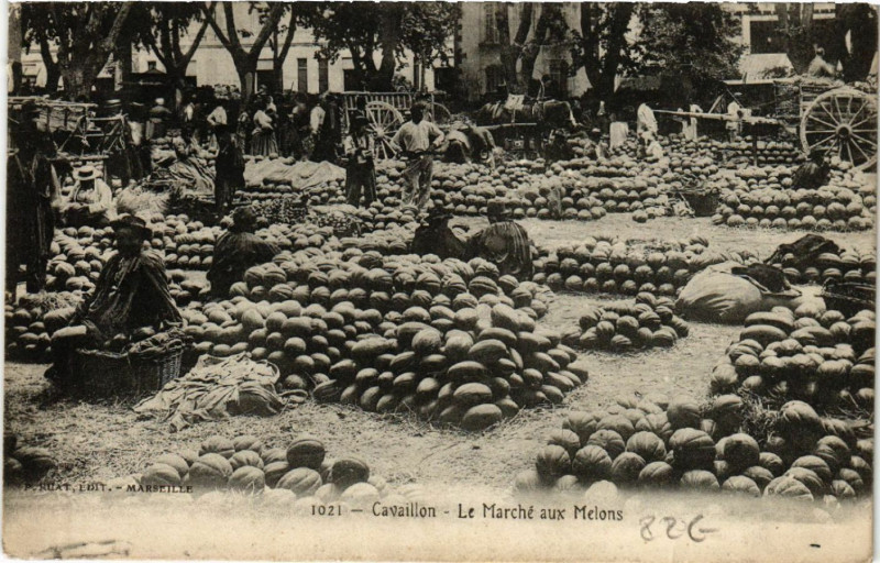 Carte postale ancienne Cavaillon - Le Marché aux Melons à Cavaillon