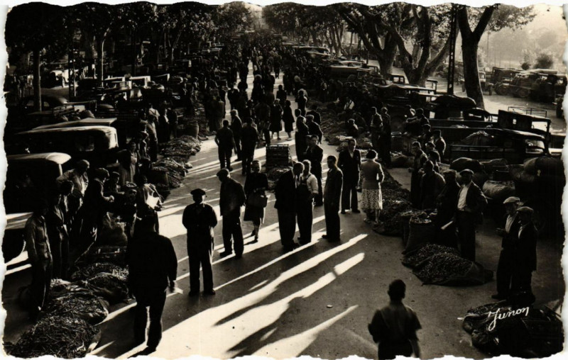 Carte postale ancienne Carpentras - Le Marché aux Primeurs à Carpentras