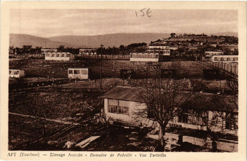 Carte postale ancienne Apt - Elevage Avicole à Apt