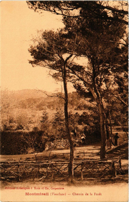 Carte postale ancienne Montmirail - Chemin de la Foret