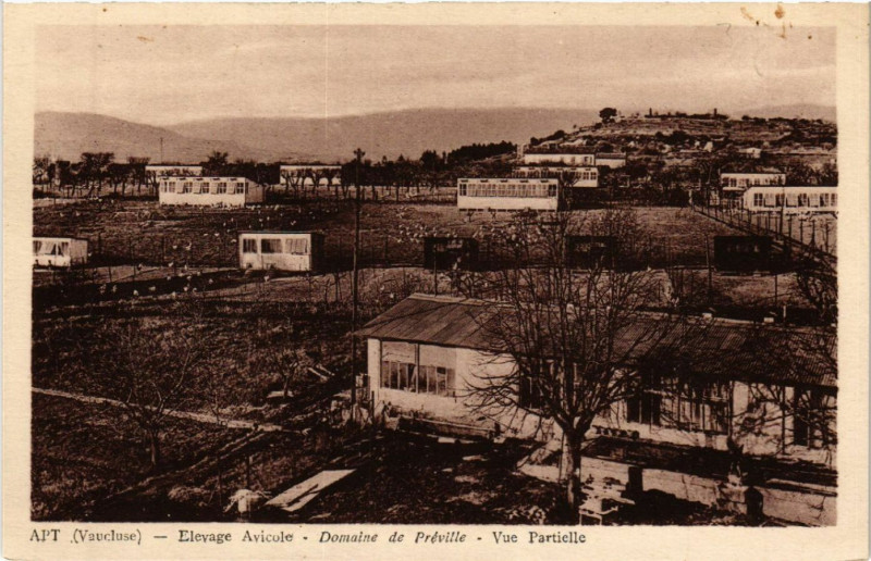 Carte postale ancienne Apt - Elevage Avicole à Apt