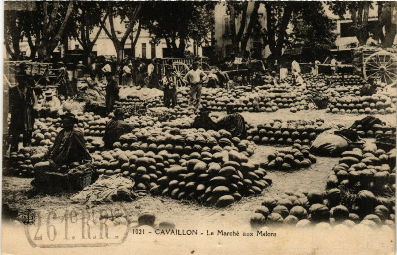 Carte postale ancienne Cavaillon - La Marché aux Melons à Cavaillon