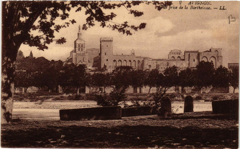 Carte postale ancienne Avignon - Vue prise de la Barthelasse à Avignon