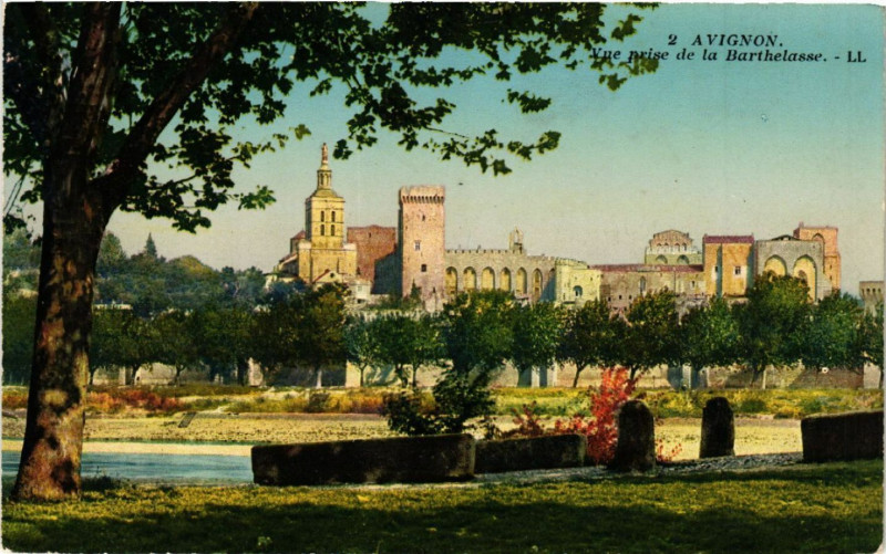 Carte postale ancienne Avignon - Vue prise de la Barthelasse à Avignon