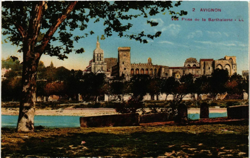 Carte postale ancienne Avignon - Vue prise de la Barthalasse à Avignon