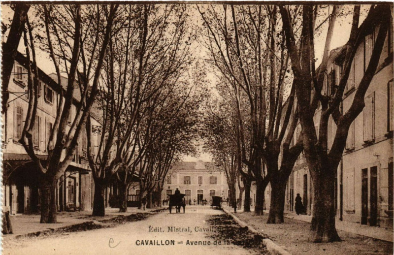 Carte postale ancienne Cavaillon - Avenue de la à Cavaillon