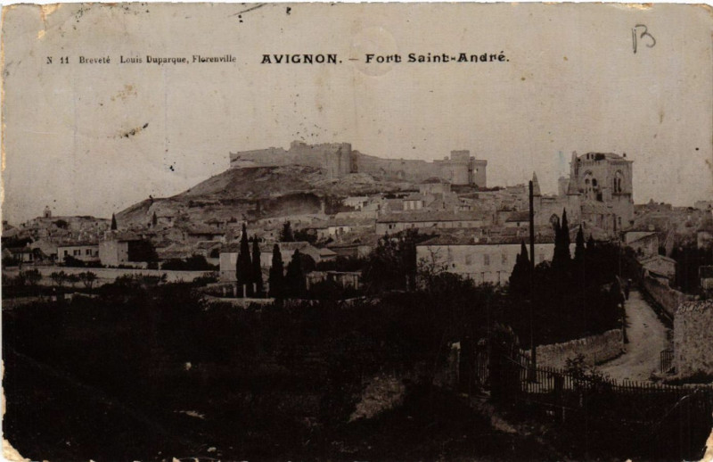 Carte postale ancienne Avignon - Fort St-Andre à Avignon