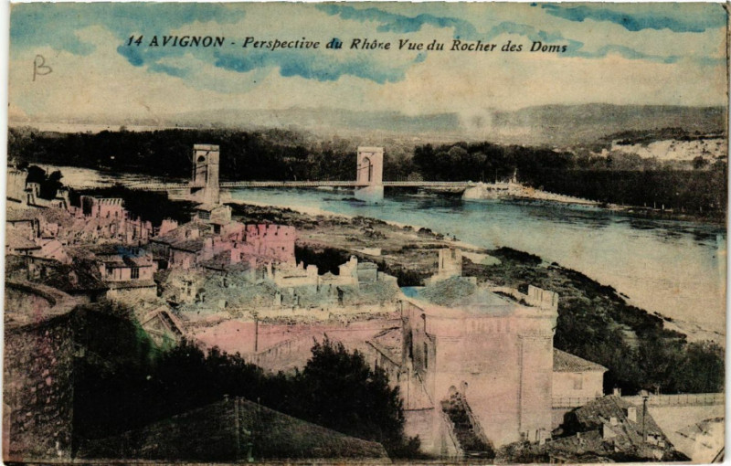 Carte postale ancienne Avignon - Perspective du Rhone Vue du Rocher des Doms à Avignon