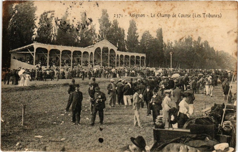 Carte postale ancienne Avignon - Le Champ de Course (Les Tribunes) à Avignon