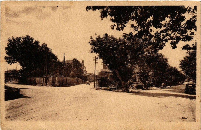 Carte postale ancienne Avignon - La Rue à Avignon