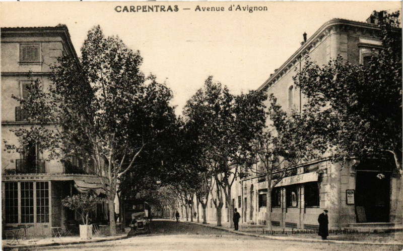 Carte postale ancienne Carpentras - Avenue d'Avignon à Carpentras