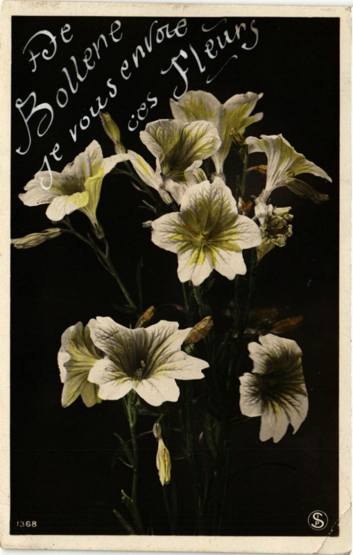 Carte postale ancienne De Bollene je vous envoice ces Fleurs à Bollène