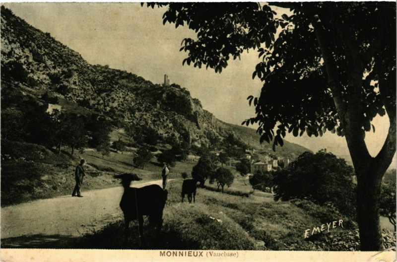 Carte postale ancienne Monnieux