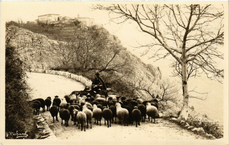 Carte postale ancienne Le Chateau et mutons sur la route