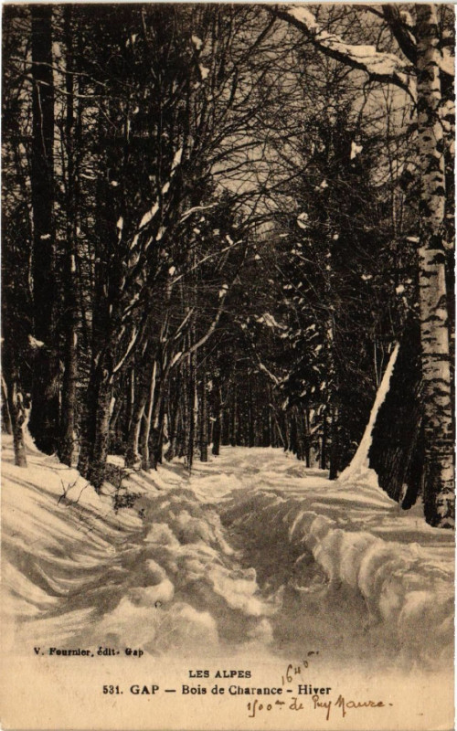 Carte postale ancienne Gap - Bois de Charance à Gap
