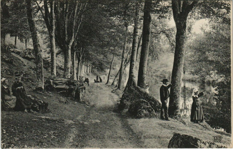 Carte postale ancienne Le Bois d'Amour