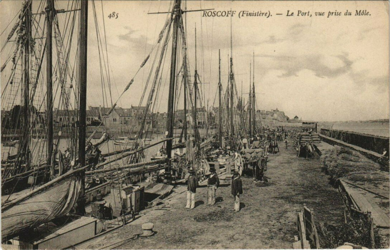 Carte postale ancienne Roscoff - Le Port vue prise du Mole à Roscoff