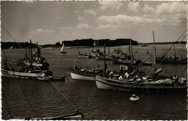 Carte postale ancienne Loctudy- La Baie et l'Ile garo France à Loctudy