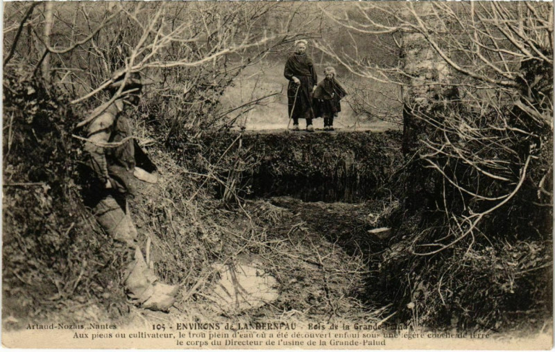 Carte postale ancienne Bois de la Grande Palud à La Forest-Landerneau