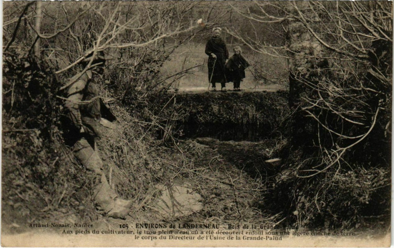 Carte postale ancienne Bois de la Grande Palud à La Forest-Landerneau
