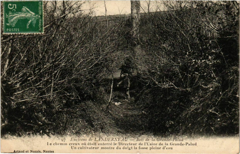 Carte postale ancienne Bois de la Grande-Palud à La Forest-Landerneau