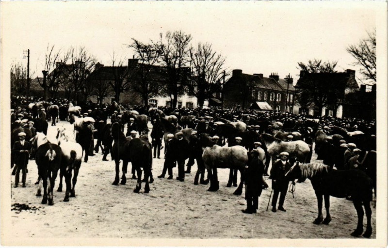 Carte postale ancienne Landivisiau - Le Champ de Foire à Landivisiau