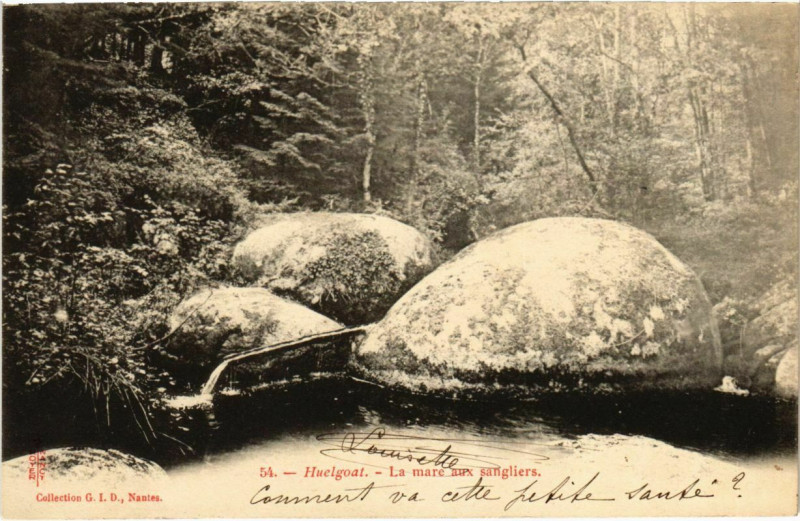 Carte postale ancienne Huelgoat- Mare aux Sangliers France à Huelgoat