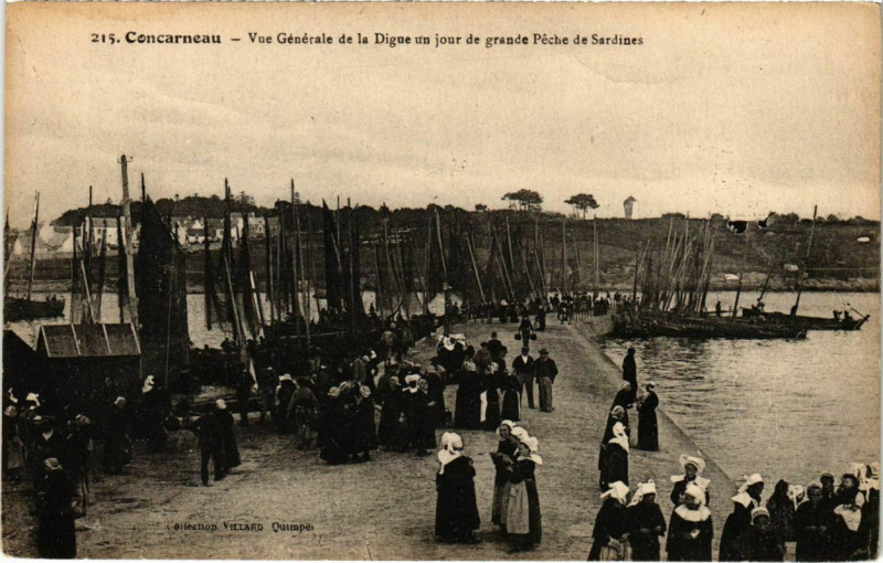 Carte postale ancienne Concarneau - Vue Générale de la Digue un jour de Grandes Péches à Concarneau