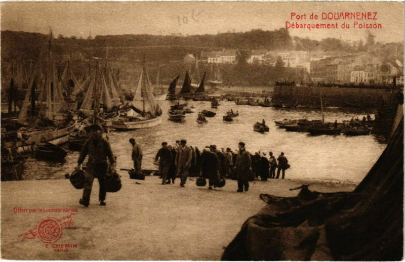 Carte postale ancienne Douarnenez- Le Port, Debarquement du Poisson France à Douarnenez