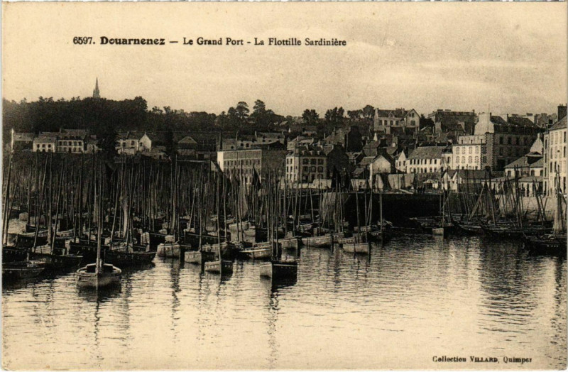 Carte postale ancienne Douarnenez- Le Grand Port, La Flottille Sardiniere France à Douarnenez