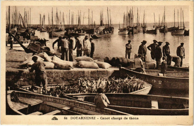 Carte postale ancienne Douarnenez- Canot charge de thons France à Douarnenez