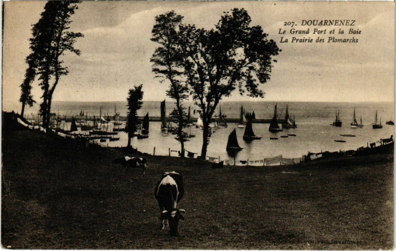 Carte postale ancienne Douarnenez- Le Grand Port et la Baie France à Douarnenez