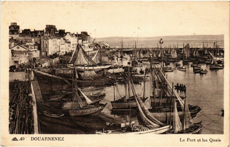 Carte postale ancienne Douarnenez - Le Port et les Quais à Douarnenez