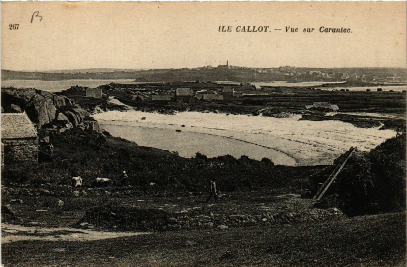 Carte postale ancienne Ile Callot - Vue sur Carantec à Carantec