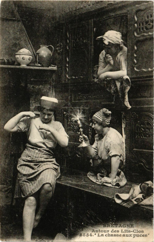 Carte postale ancienne Autour de Lits-Clos - La chasse aux puces
